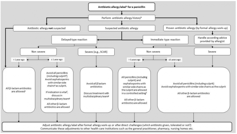 stappenplan allergie